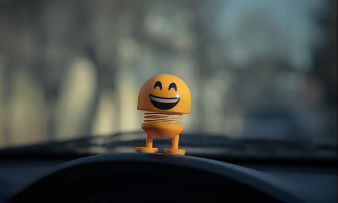 Professional travel scene inside a car